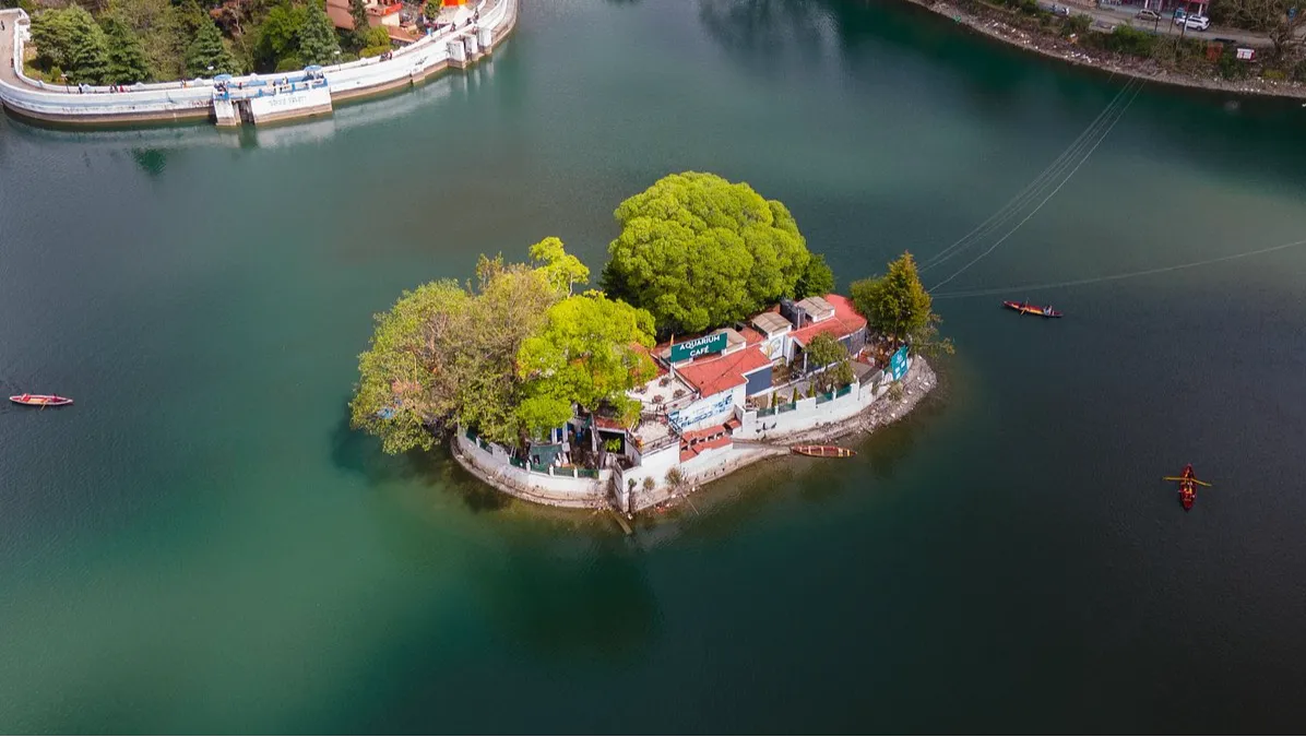 Aquarium Island Cafe