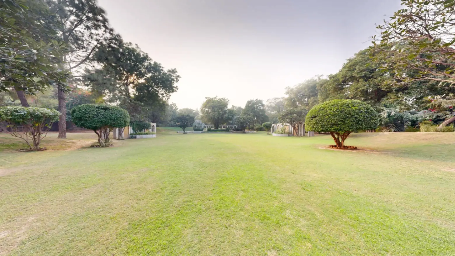 Lawn