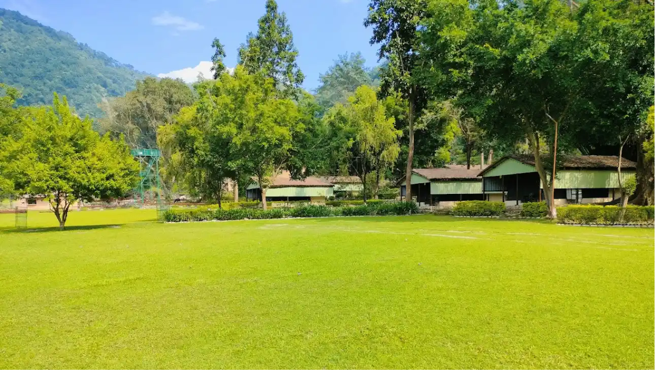 Lawn