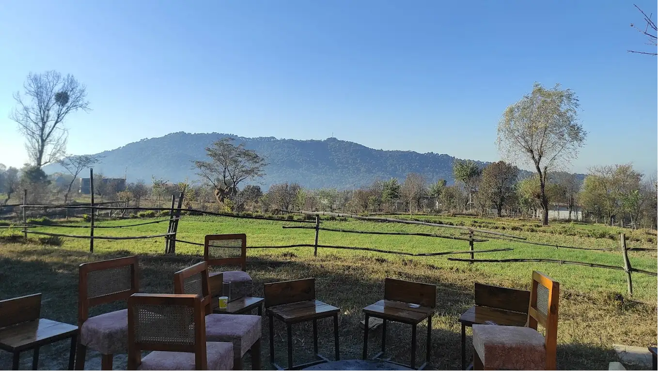 Open Lawn