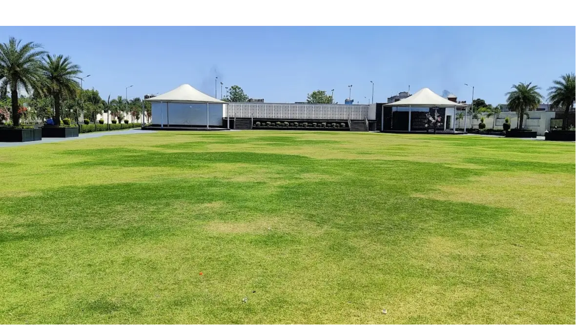 Lawn