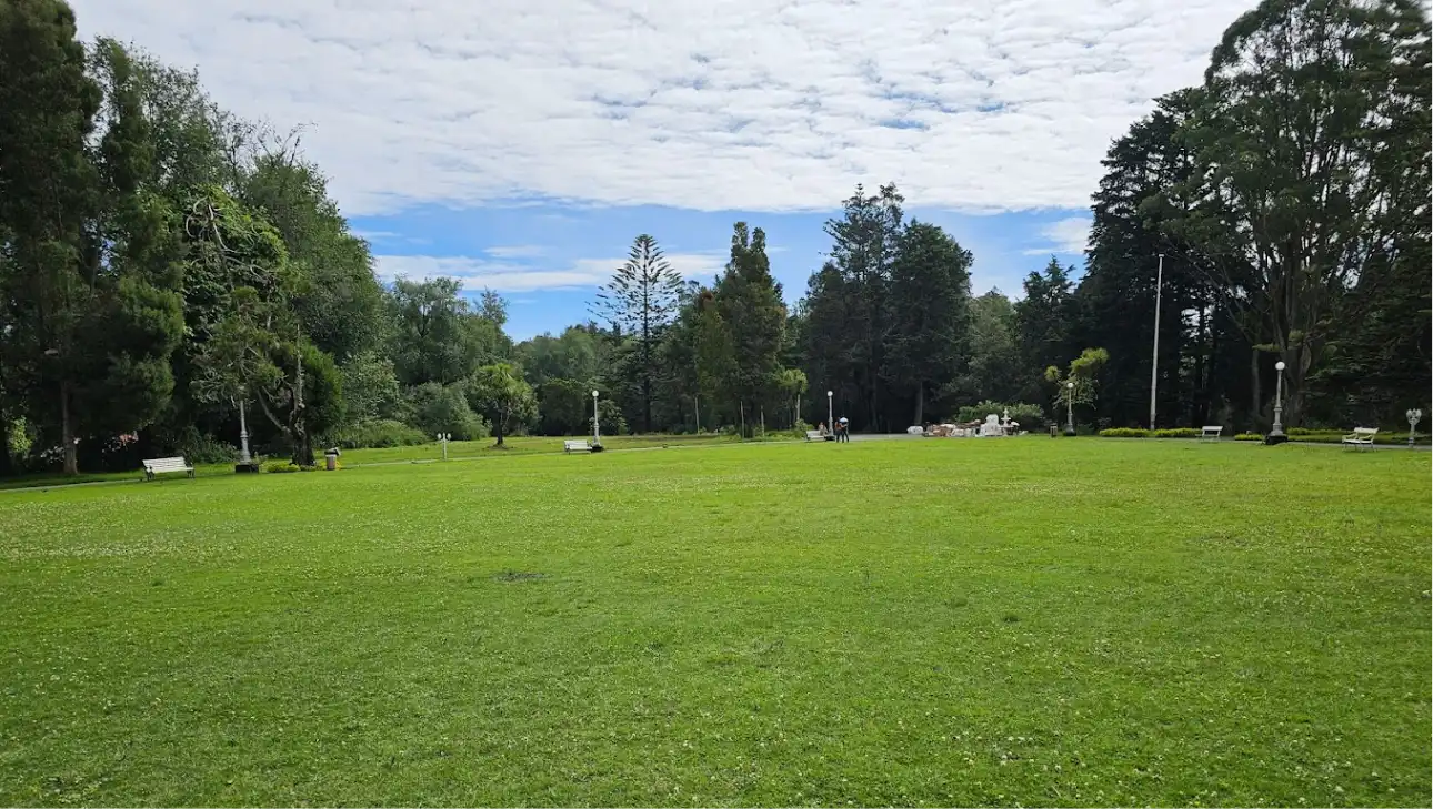 Lawn 1