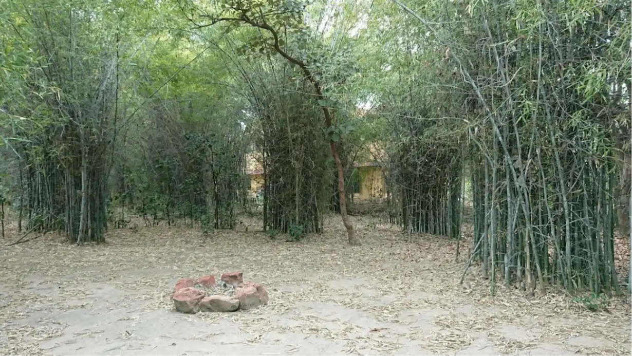 Lawn