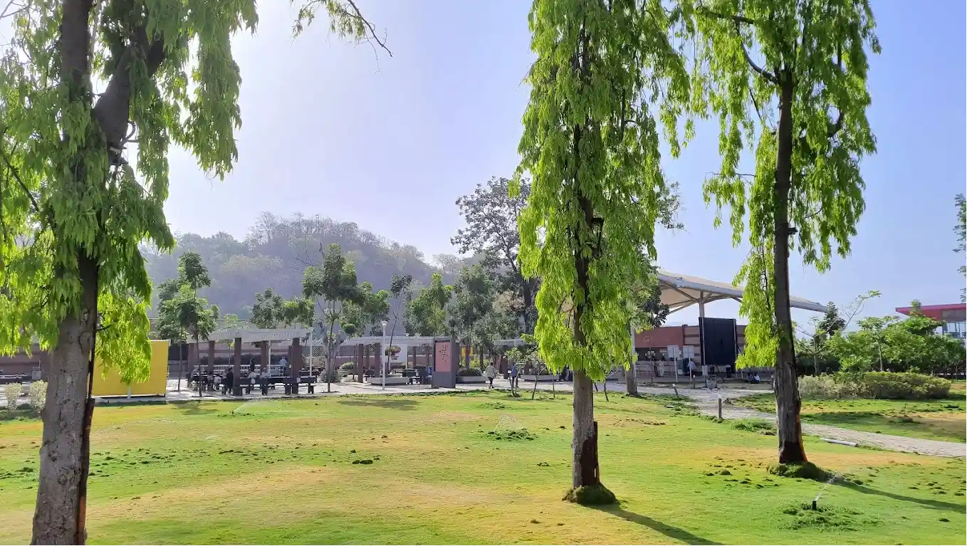 Lawn