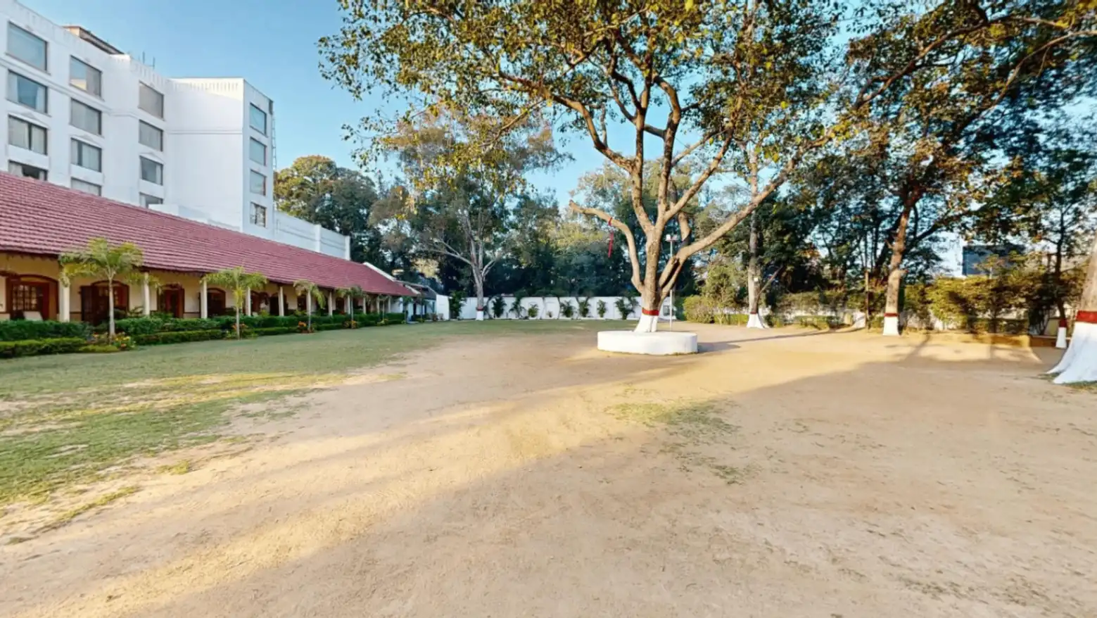 Lawn 2