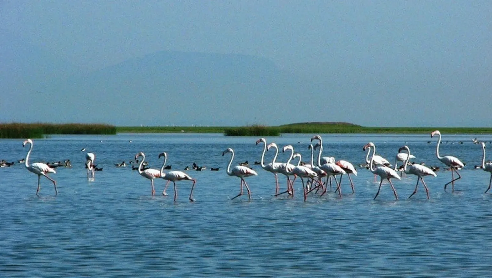 Chilika Lake