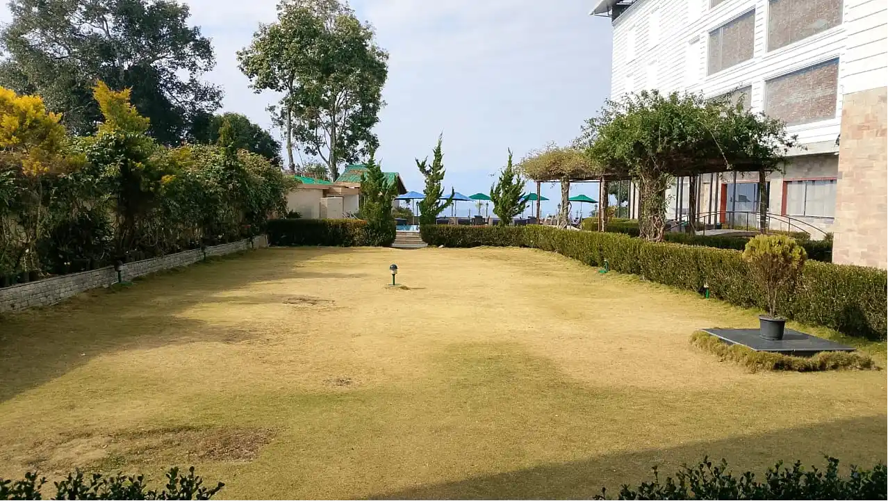 Lawn