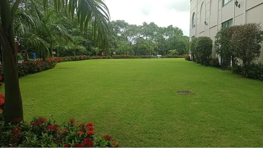 Regency Lawns
