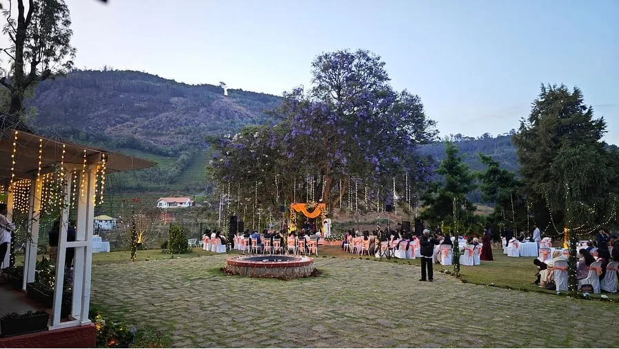 Open Lawn