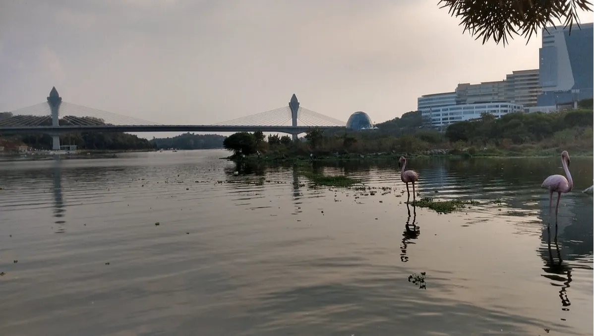 Durgam Cheruvu Lake
