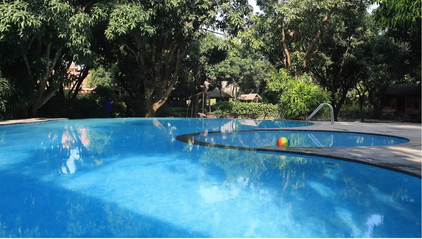 Swimming Pool lawn