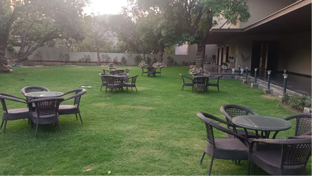 Saffron Lawn