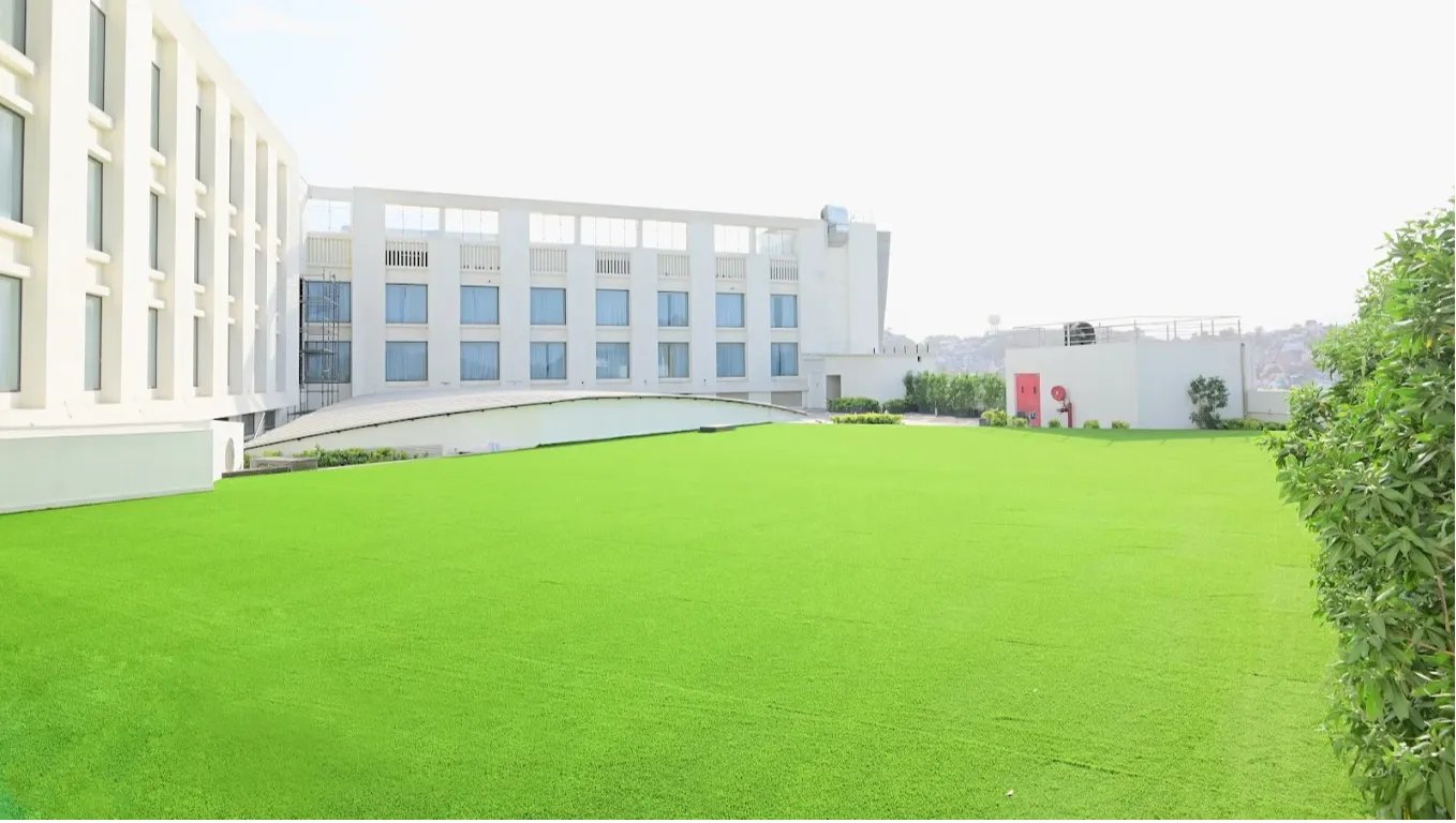 Lawn