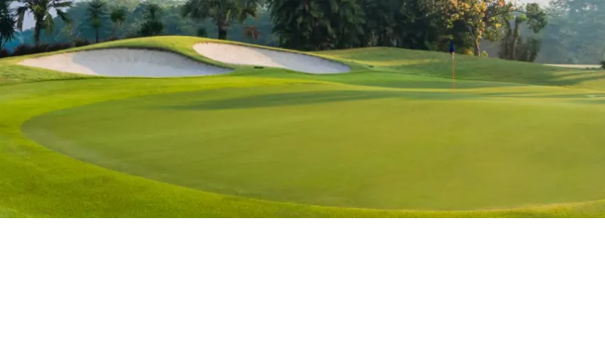 Tee Garden