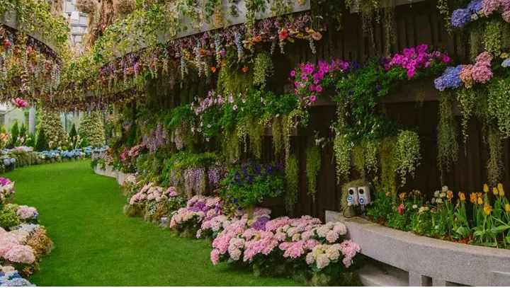 Floral Fantasy and SG50 Lattice