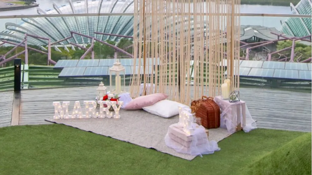 Supertree Observatory terrace 