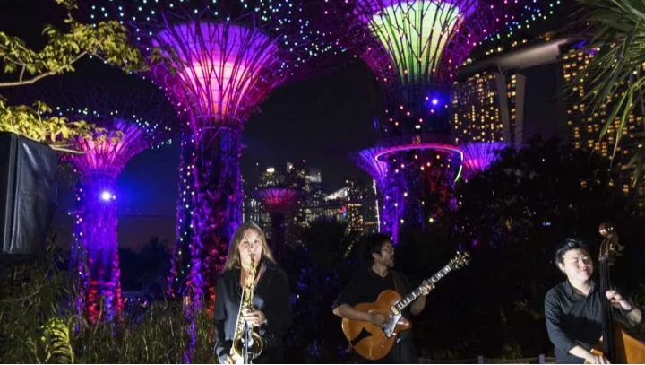 Secret Life of Trees