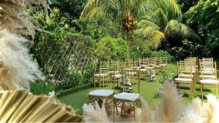 Lawn & Urban Garden Area