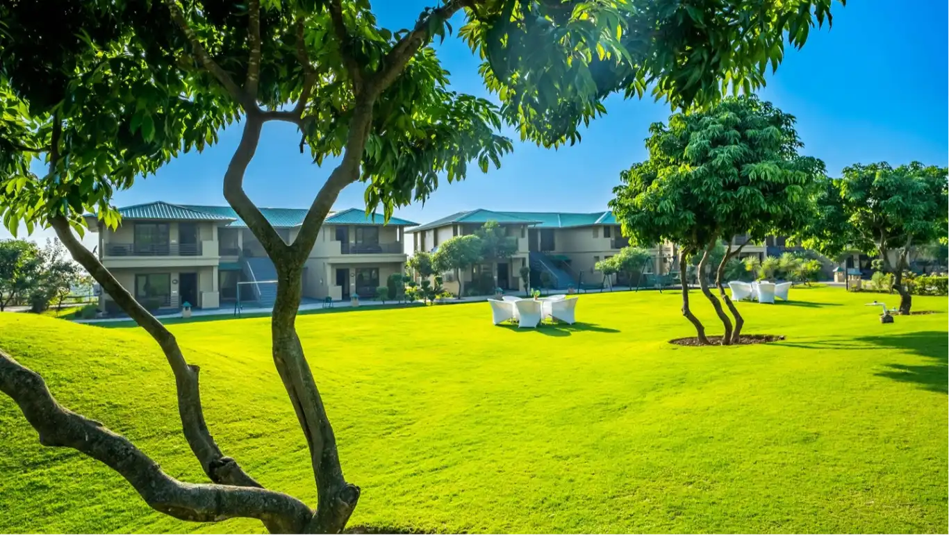 Tusker Lawn (In Front of Hornbill Nest Hall)