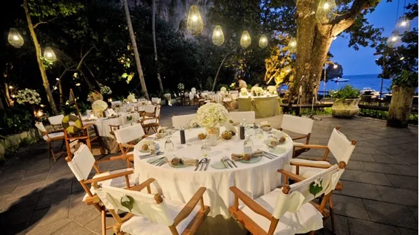 THE UMBRELLA TREE COURT