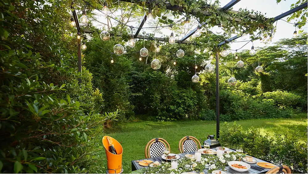 The Backyard — gallery
