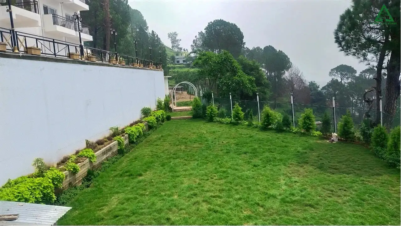 Lawn