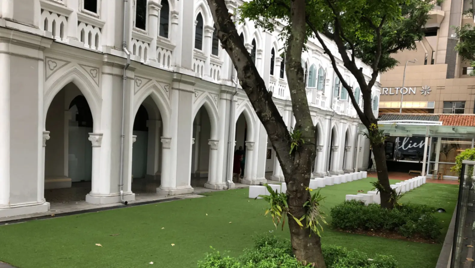 Mini Lawn — gallery