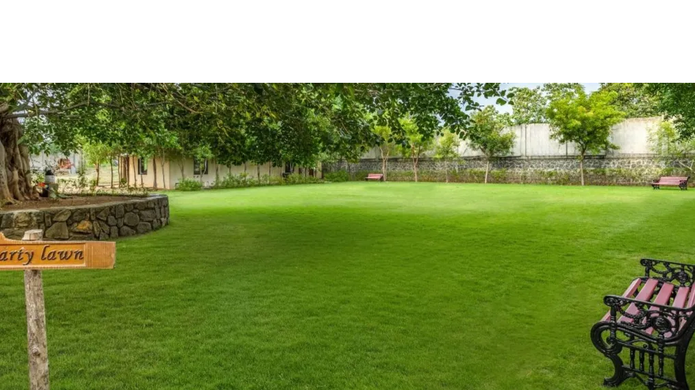 Lawn