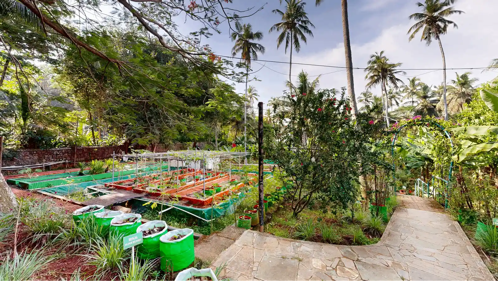 Aaramam - Organic Vegetable Garden