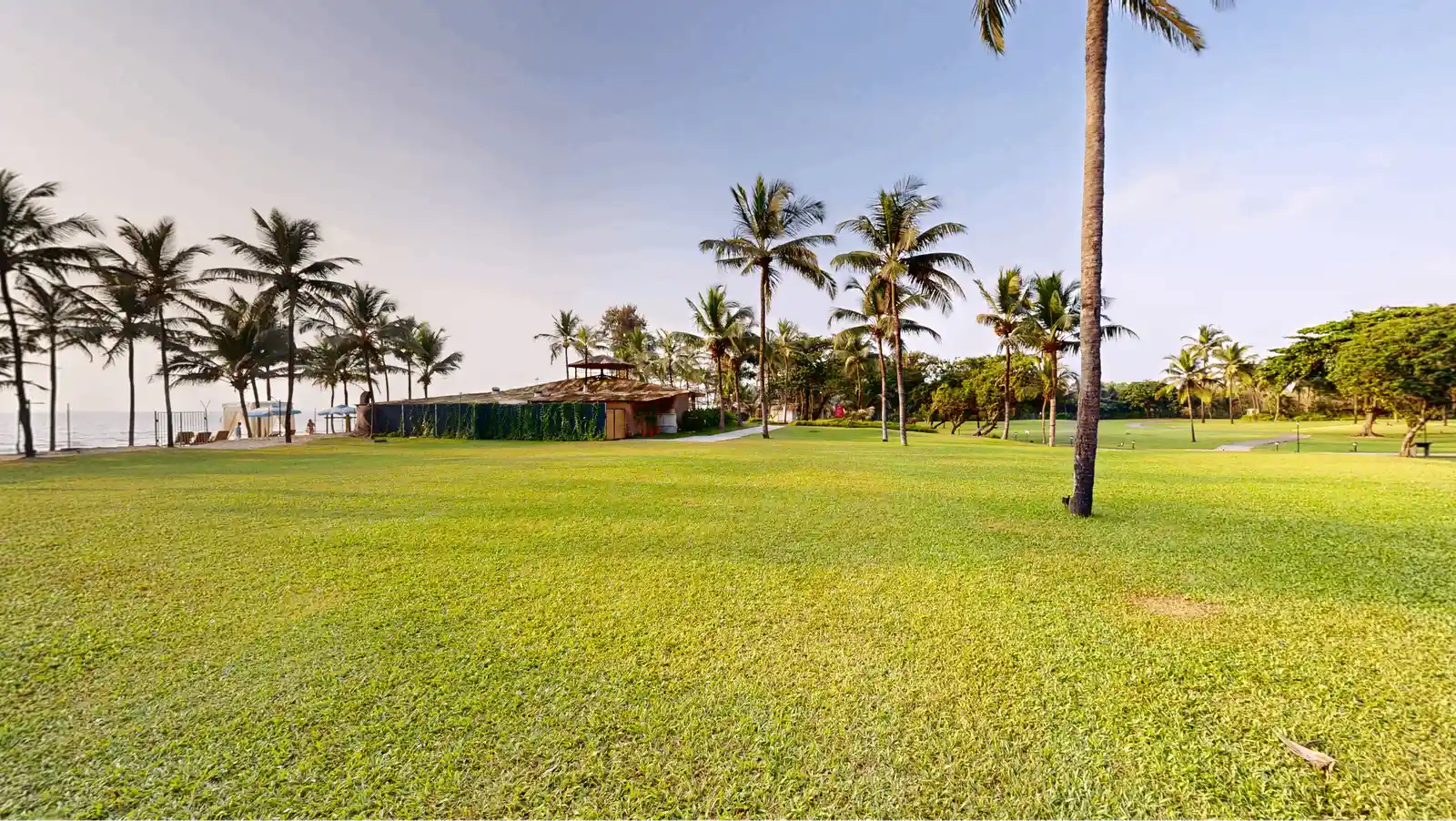 Beach Lawn	