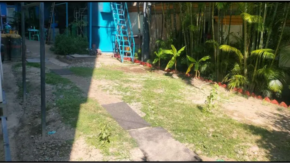 Lawn 