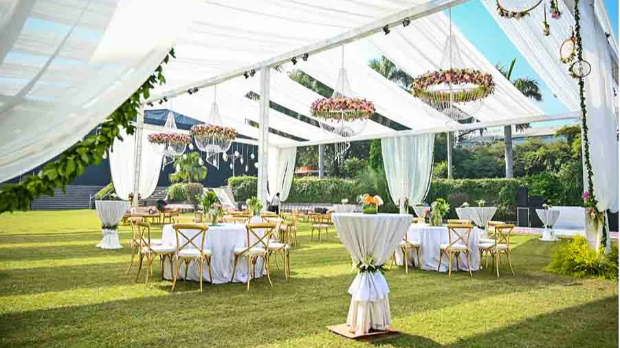 Open Lush Lawns