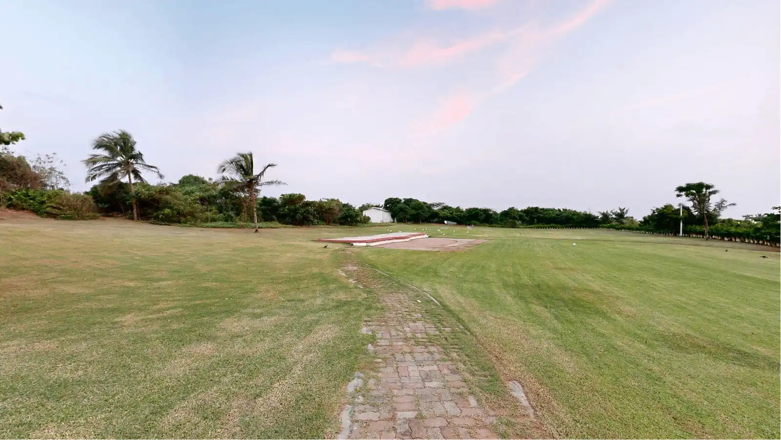 Beach Lawn