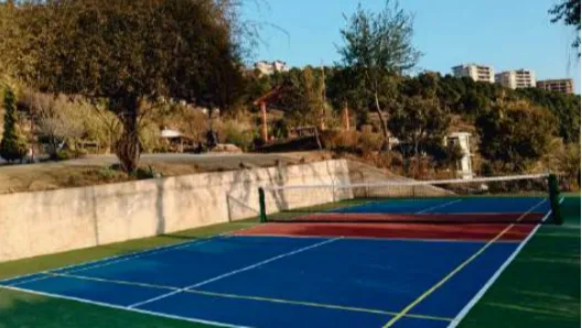 Pickleball Court