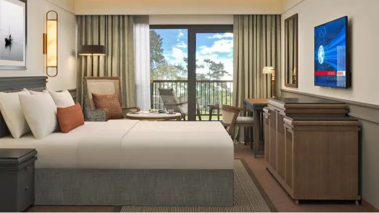 Deluxe Room - Balcony