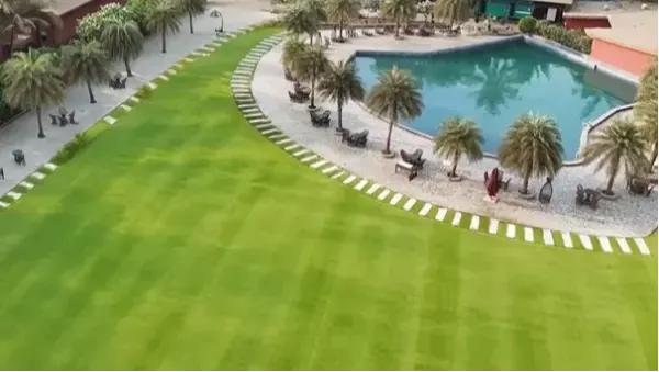 Resort Pool Lawn