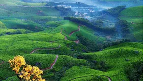 Munnar
