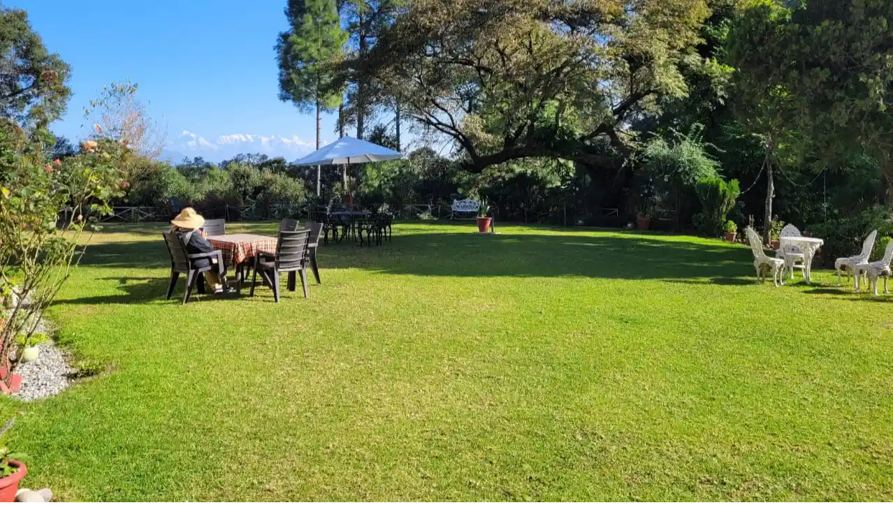 Lawn