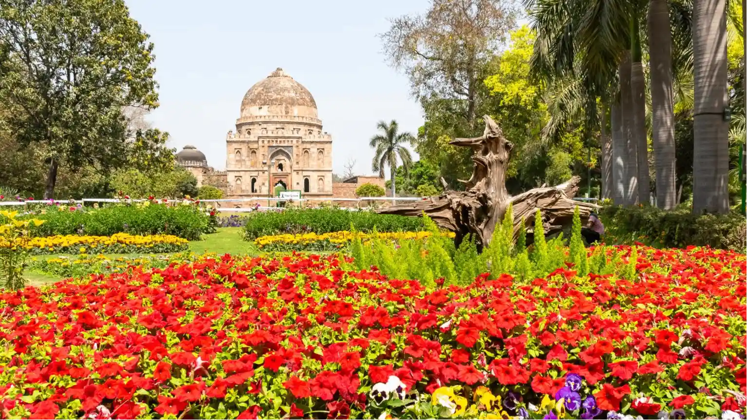 Lodhi Garden