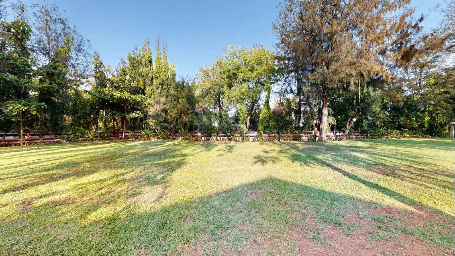 Grove Lawn