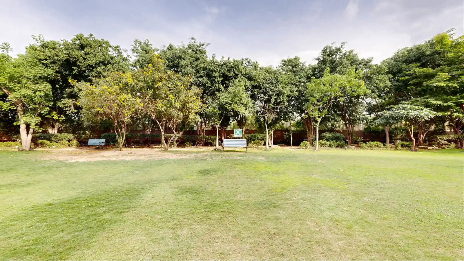 Green Lawn