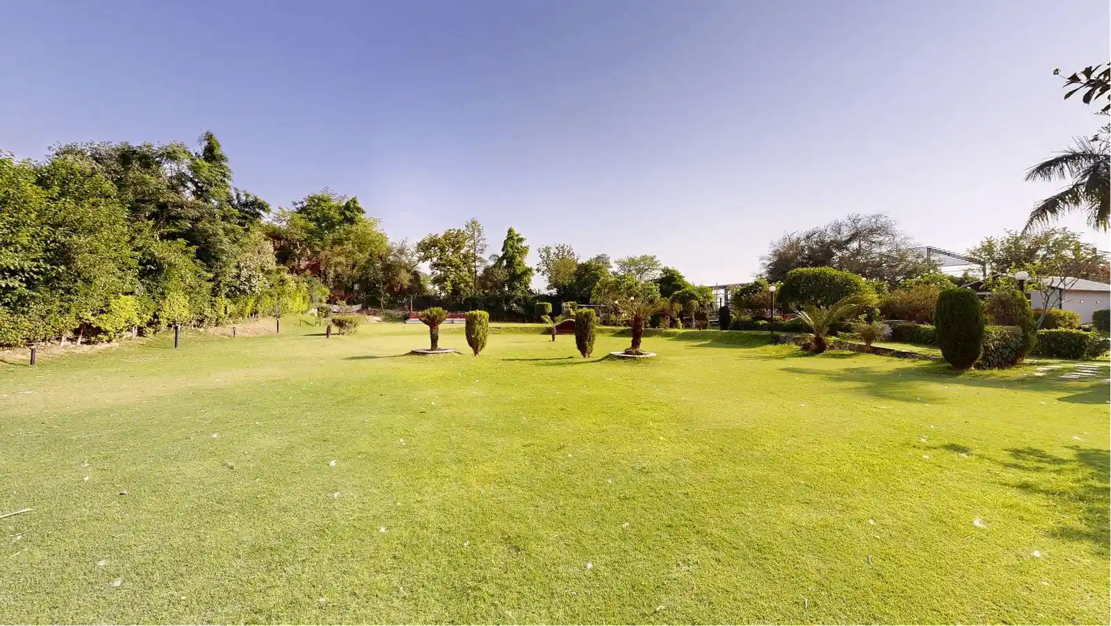 Central Lawn 