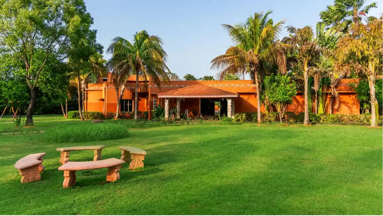 Nirvana Lawn