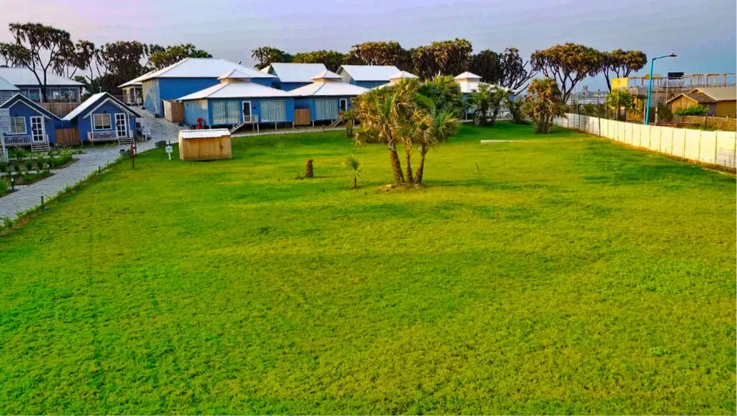 wedding lawn