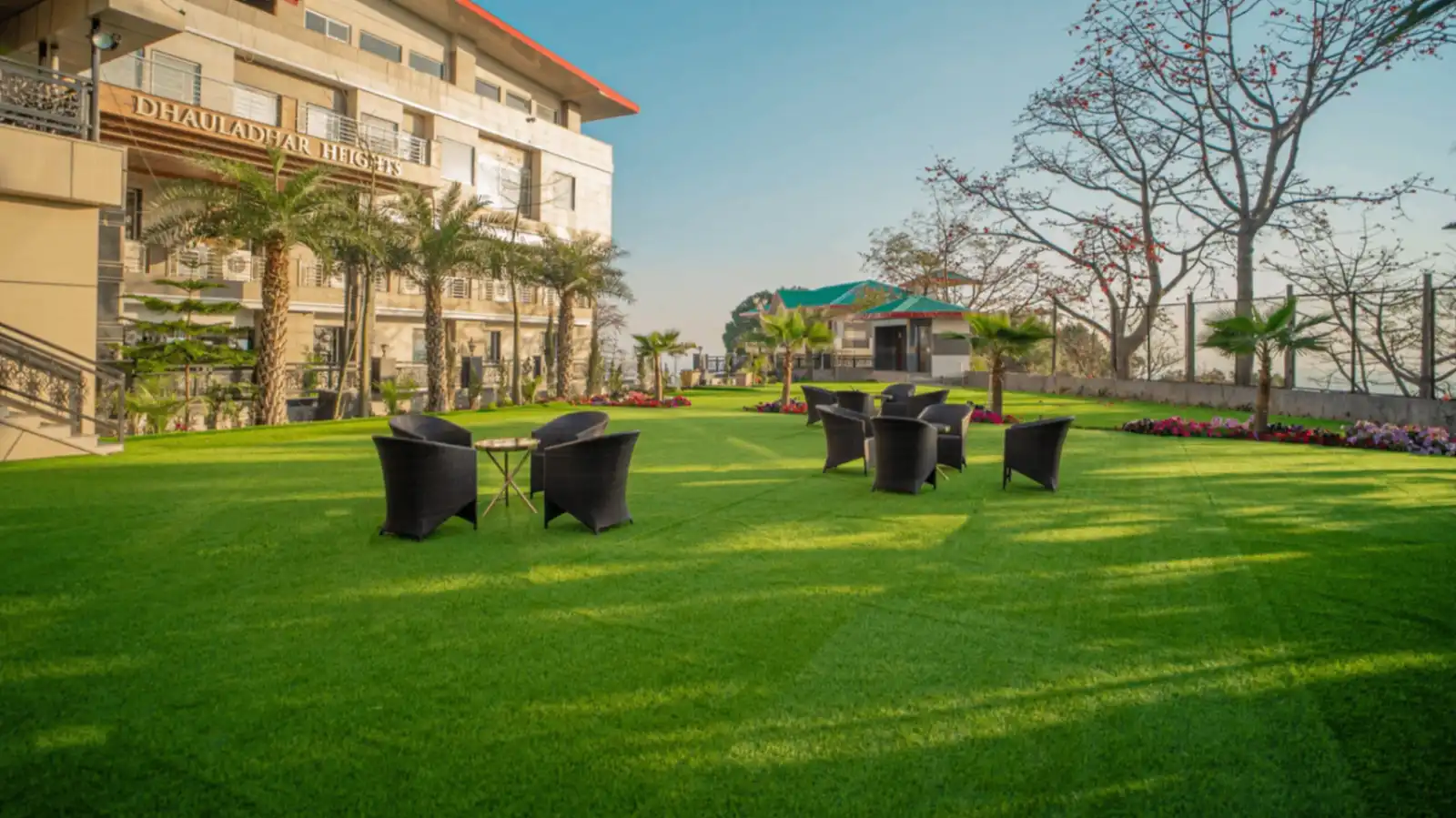 GARDEN GREEN LAWN 1