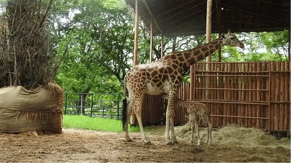 Kanpur Zoological Park