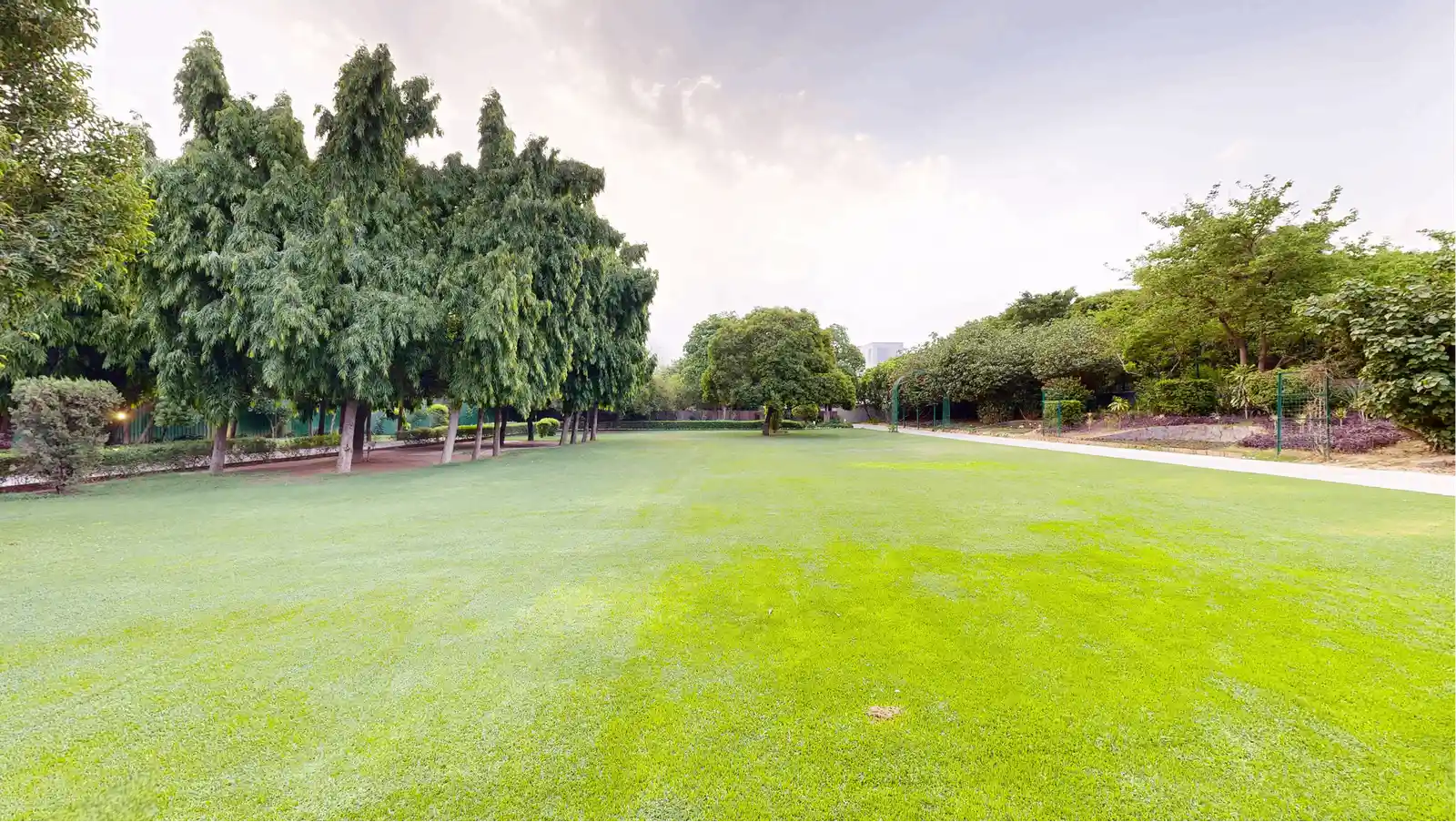 Ashoka Lawn 1