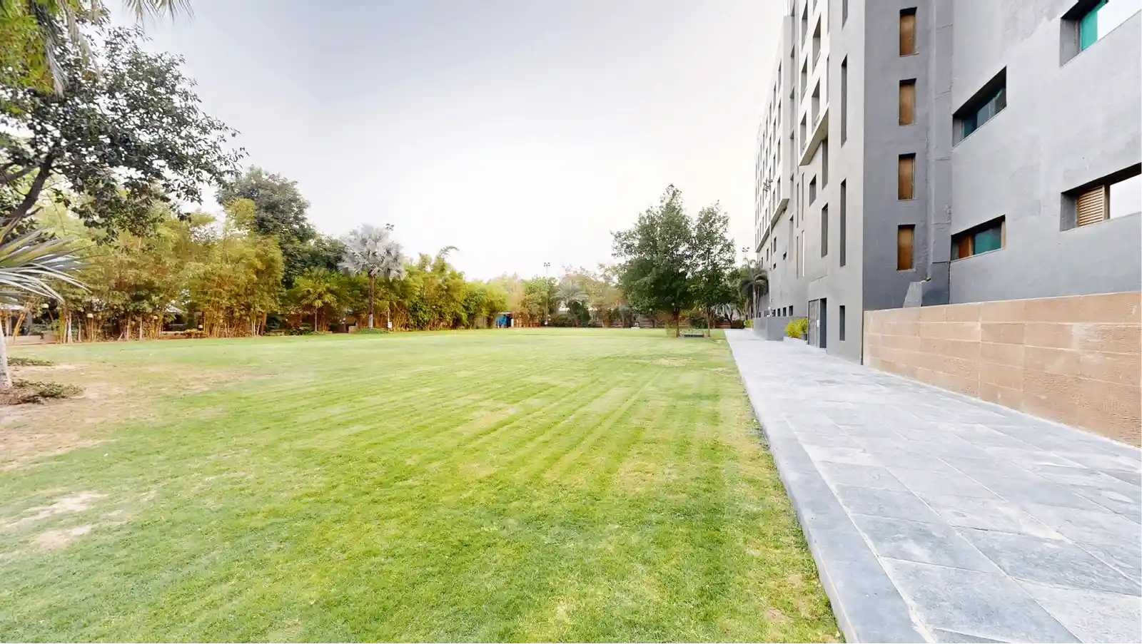 Lawn