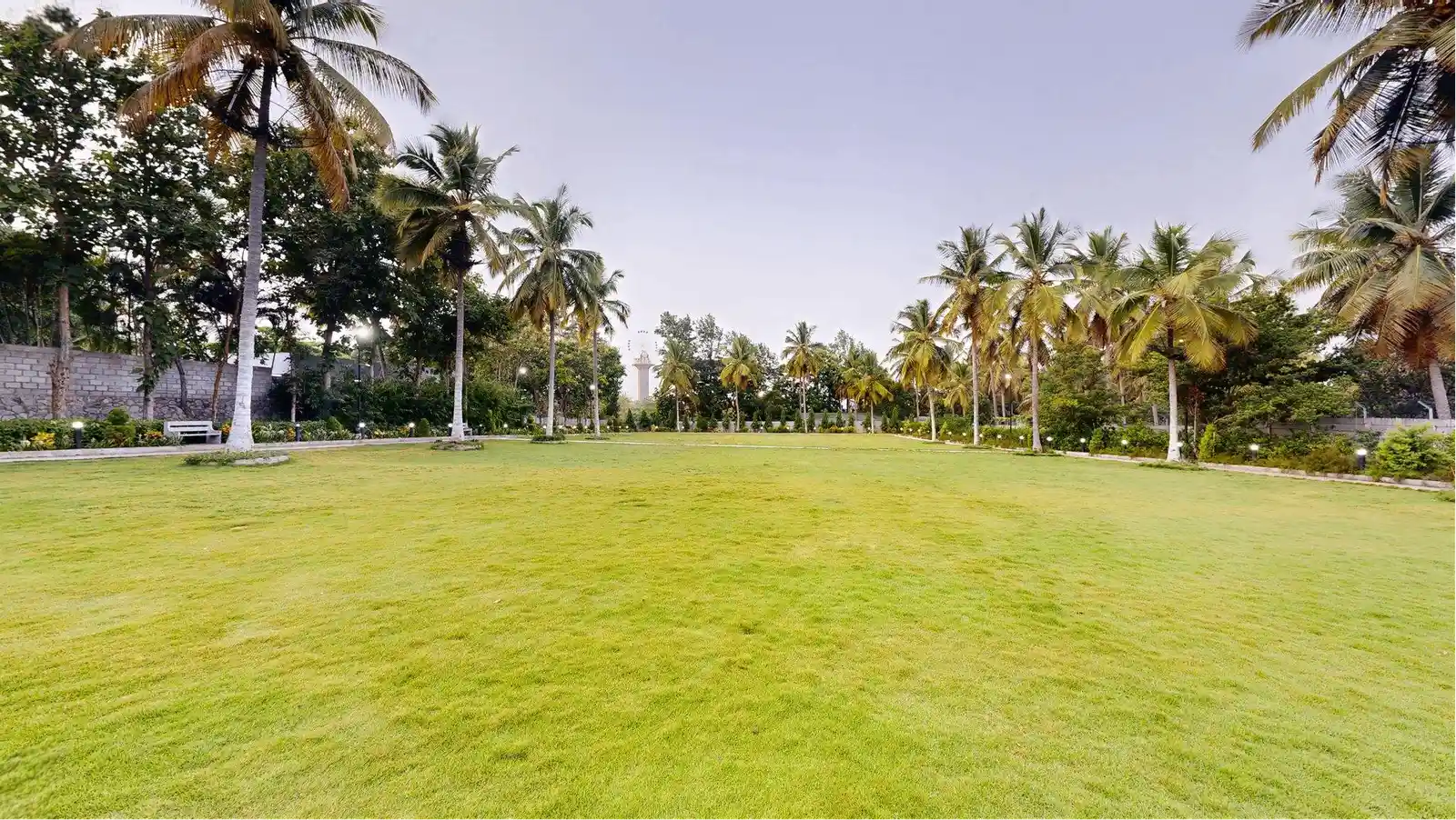 The Lawn