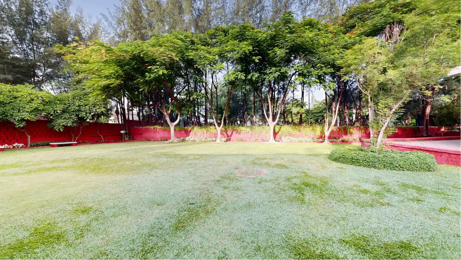 Orchid Lawn 